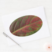 Rode Blad close-up ovale sticker, sealer, label (Envelop)