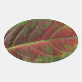 Rode Blad close-up ovale sticker, sealer, label