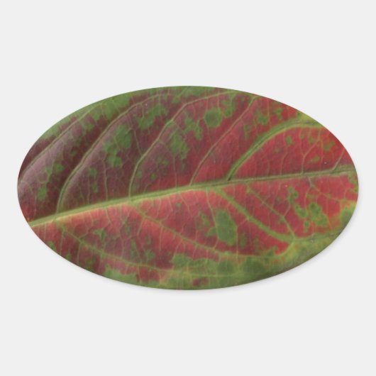 Rode Blad close-up ovale sticker, sealer, label (Voorkant)