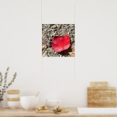 Rode Blad Foto Poster (Keuken)