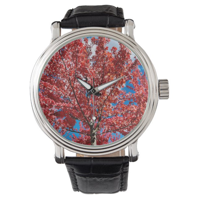 Rode bladboom in de Herfst Horloge (Voorkant)