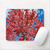 Rode bladboom in de Herfst Muismat (Met muis)