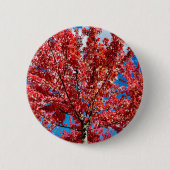 Rode bladboom in de Herfst Ronde Button 5,7 Cm (Voorkant)