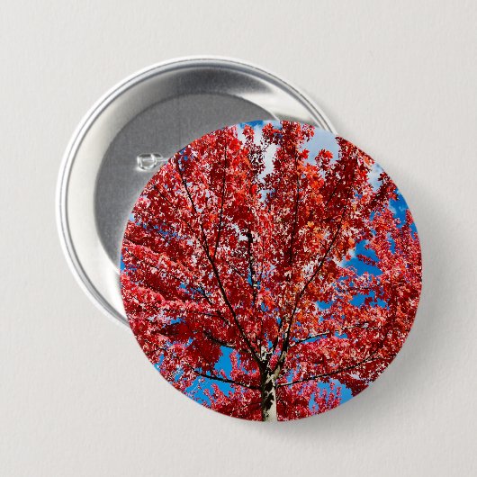 Rode bladboom in de Herfst Ronde Button 7,6 Cm (Voorkant /achterkant)