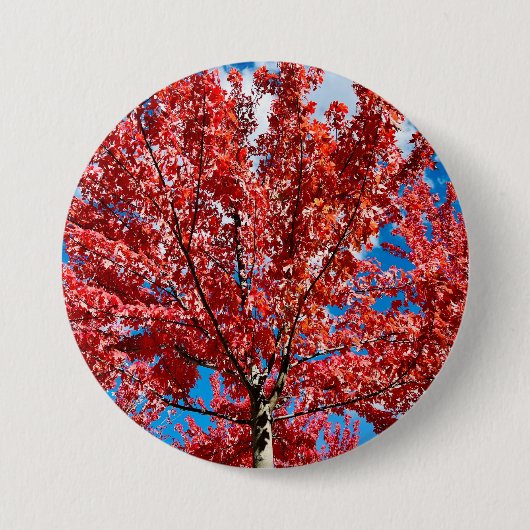 Rode bladboom in de Herfst Ronde Button 7,6 Cm (Voorkant)