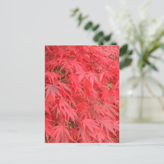 Rode bladeren briefkaart (Staand voorkant)