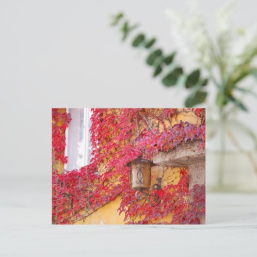 Rode bladeren briefkaart (Staand voorkant)