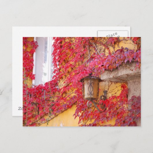 Rode bladeren briefkaart (Voorkant / Achterkant)