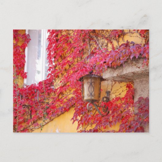 Rode bladeren briefkaart (Voorkant)