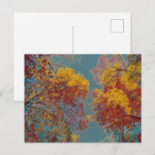 Rode bladeren briefkaart (Voorkant / Achterkant)