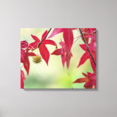 Rode bladeren canvas afdruk (Voorkant)