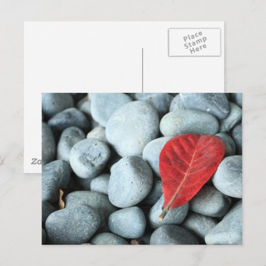 Rode bladeren en stenen briefkaart (Voorkant / Achterkant)