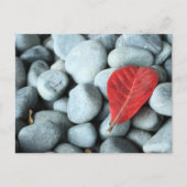 Rode bladeren en stenen briefkaart (Voorkant)