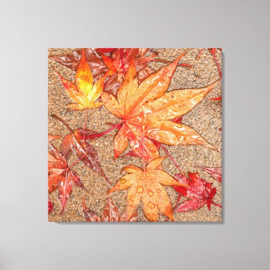 Rode bladeren in de regen canvas afdruk (Voorkant)