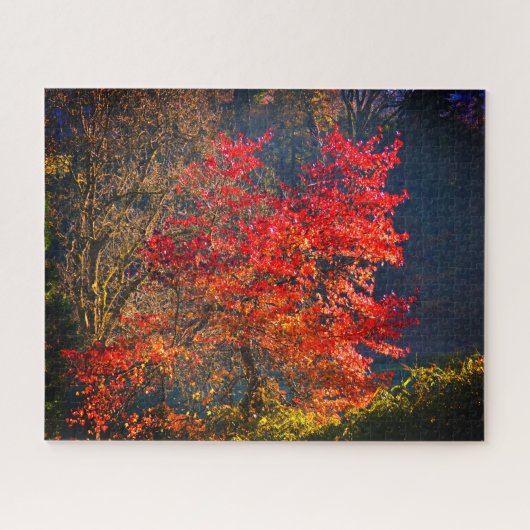 Rode bladeren legpuzzel (Horizontaal)