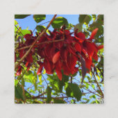 rode bladeren omhullingskaart informatiekaartje (Voorkant)