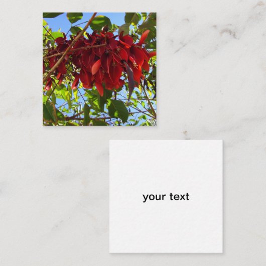 rode bladeren omhullingskaart informatiekaartje (Voorkant / Achterkant)