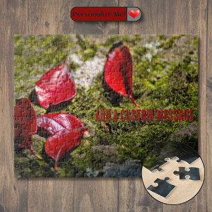 Rode Bladeren op een Rots Legpuzzel