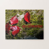 Rode Bladeren op een Rots Legpuzzel (Horizontaal)