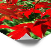 Rode bladeren poster (Hoek)