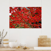 Rode bladeren poster (Keuken)