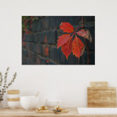 Rode bladeren Poster (Keuken)