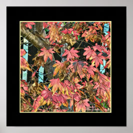 Rode bladeren poster
