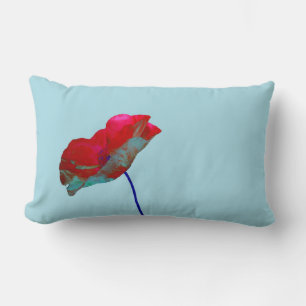 Rode blauwe klaproos op pastelblauw kussen