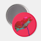 Rode blauwe papaver op lichtroze magneet (Voorkant / Achterkant)