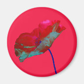 Rode blauwe papaver op lichtroze magneet (Voorkant)