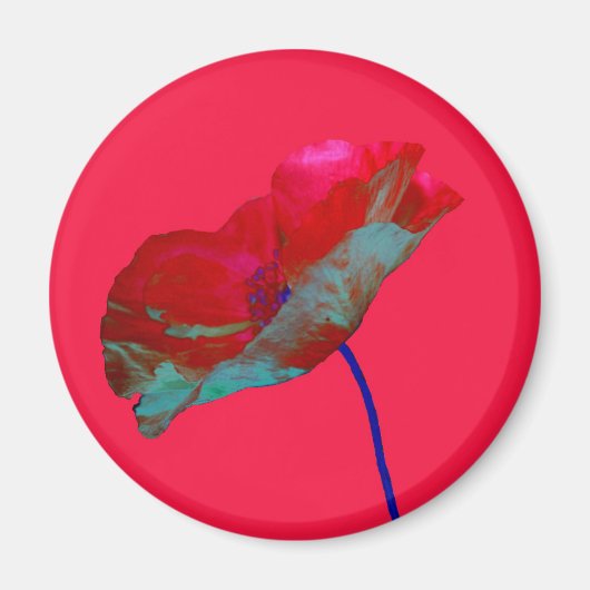 Rode blauwe papaver op lichtroze magneet (Voorkant)