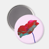 Rode blauwe papaver op pastelroze magneet (Voorkant / Achterkant)