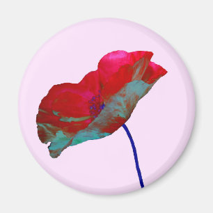 Rode blauwe papaver op pastelroze magneet
