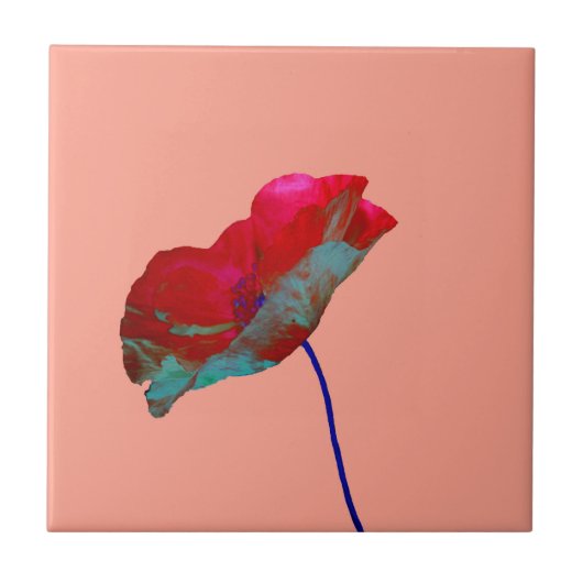 Rode blauwe papaver op roze tegeltje (Voorkant)