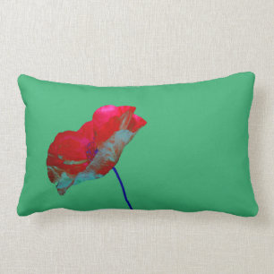 Rode blauwe papaver op smaragdgroen kussen