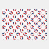 Rode blauwe volleyballen patroon elke gelegenheid inpakpapier vel (Voorkant 3)