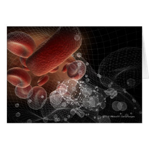 Rode bloedcellen in wireframe