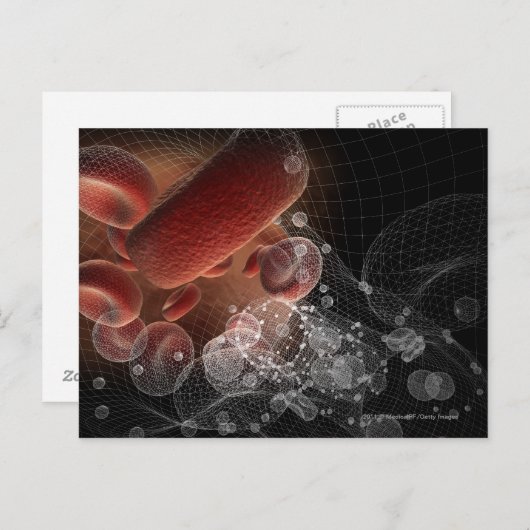 Rode bloedcellen in wireframe briefkaart (Voorkant / Achterkant)