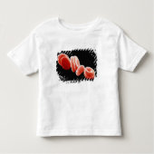 Rode bloedcellen kinder shirts (Voorkant)