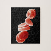 Rode bloedcellen legpuzzel (Verticaal)