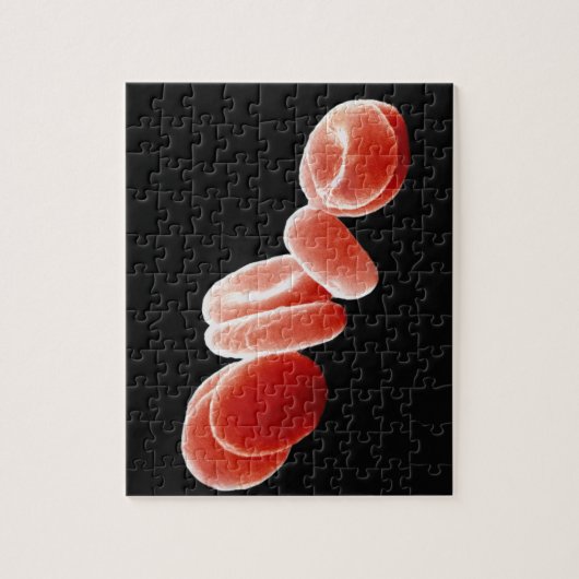 Rode bloedcellen legpuzzel (Verticaal)