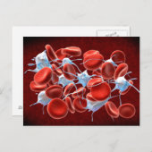 rode bloedcellen met leukocyten briefkaart (Voorkant / Achterkant)