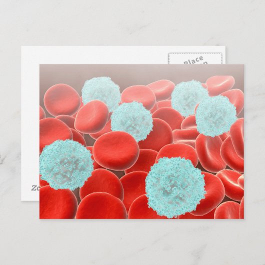 rode bloedcellen met witte bloedcellen briefkaart (Voorkant / Achterkant)