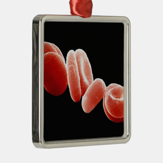 Rode bloedcellen metalen ornament (Rechts)