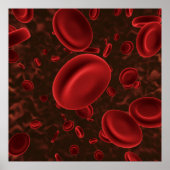 Rode Bloedcellen Microscopisch Poster (Voorkant)