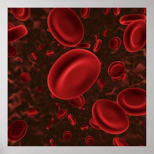 Rode Bloedcellen Microscopisch Poster (Voorkant)