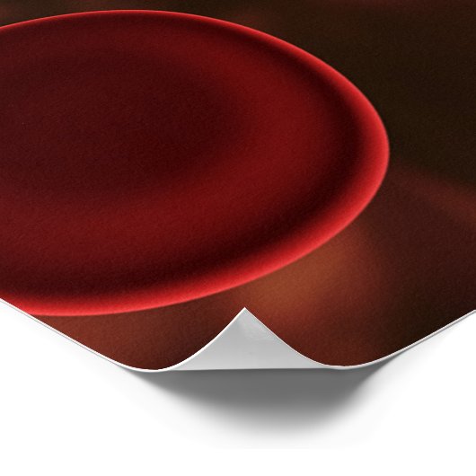 Rode Bloedcellen Microscopisch Poster (Hoek)