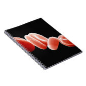 Rode bloedcellen notitieboek (Rechterzijde)