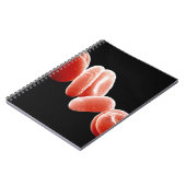 Rode bloedcellen notitieboek (Linkerzijde)
