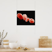 Rode bloedcellen poster (Keuken)